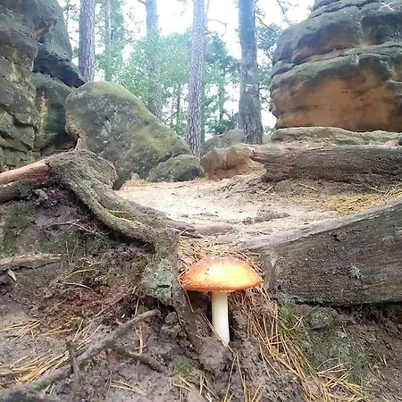 Sielankownia 라트코프