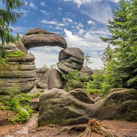 Sielankownia 샬레 *