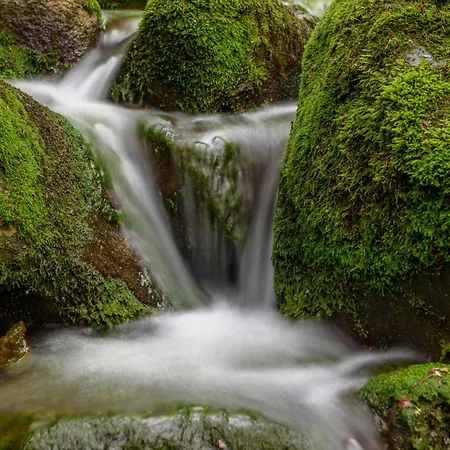 Sielankownia 라트코프