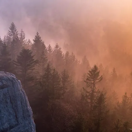 Dağ evi Sielankownia *