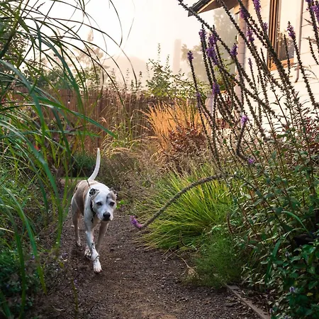 Sielankownia * Radkow