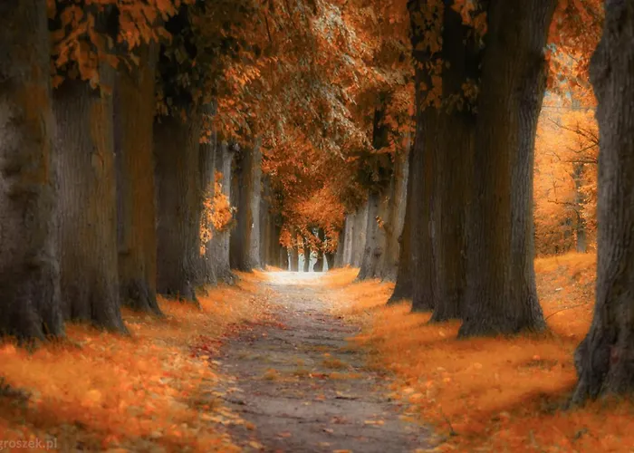 Sielankownia Horská chata Radkow