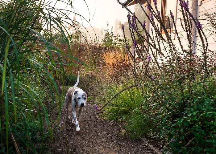 Sielankownia * Radkow